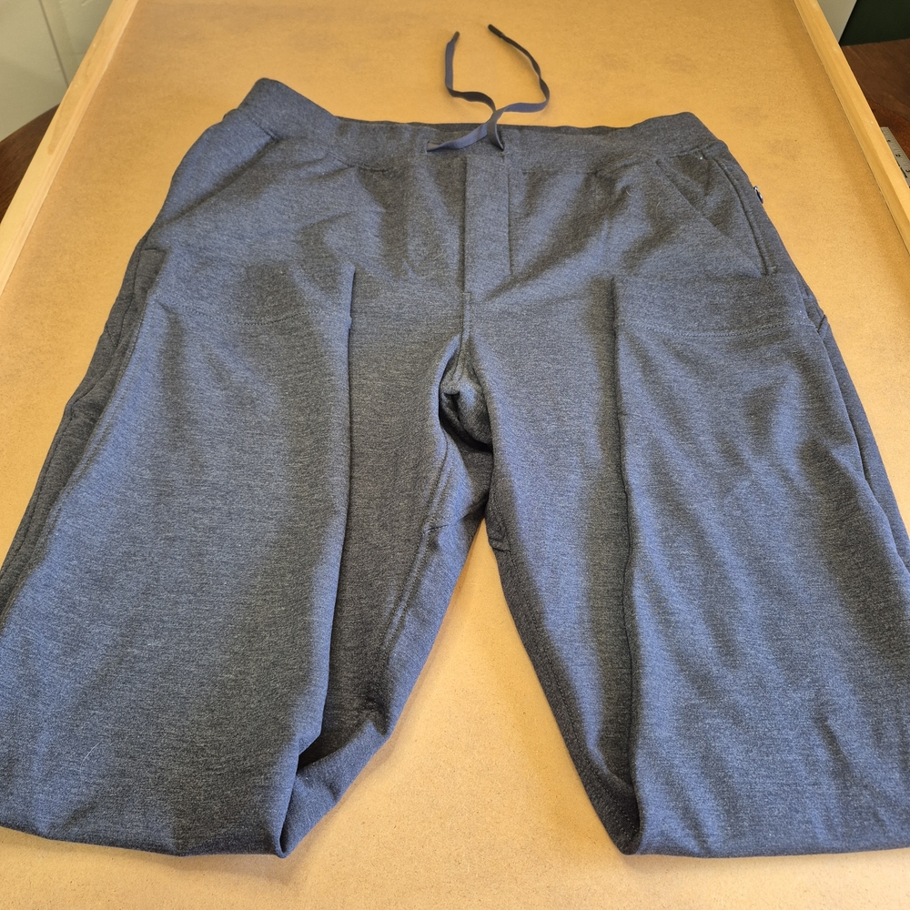 Birddogs Men's Heather Blue Joggers 2914